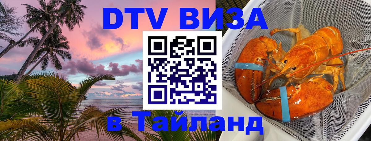 Как сделать DTV визу в Тайланд Ватикан 